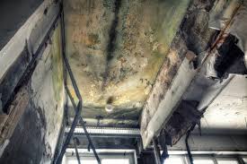 Best Comprehensive Air Testing for Mold Contaminants in Cherryvale, SC